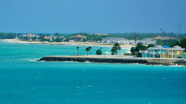 istock Shoreline of North Bimini Bahamas 1782913334