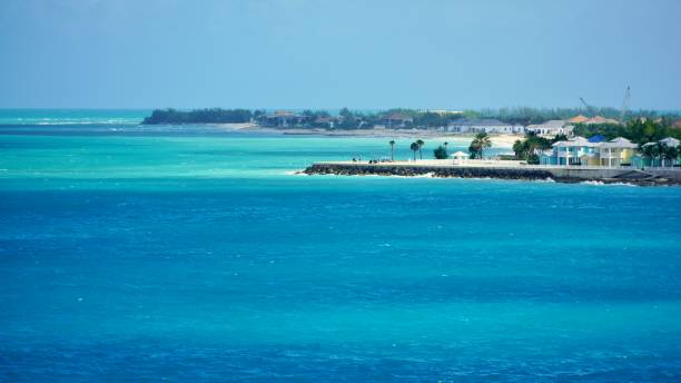 istock Beautiful coast of Bimini Bahamas 1782913339