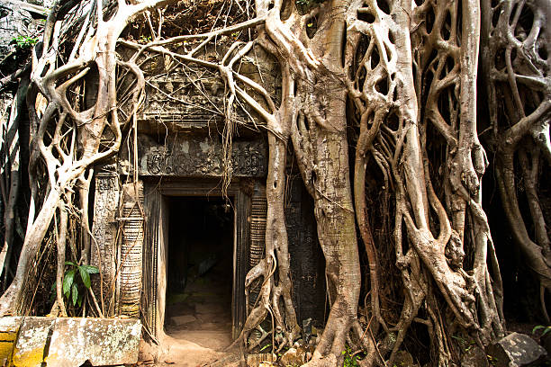 храм ангкор-ват, камбоджа. - destrination стоковые фото и изображения