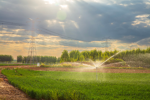 Water saving equipment is to irrigate their fields