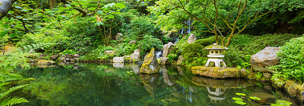 istock Beautiful Japanese Garden 178292214