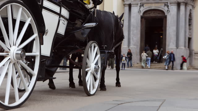 Traditional horse carriage in Vienna, Austria