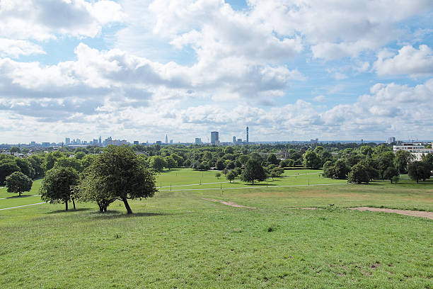 istock Primrose Hill in London 178293218