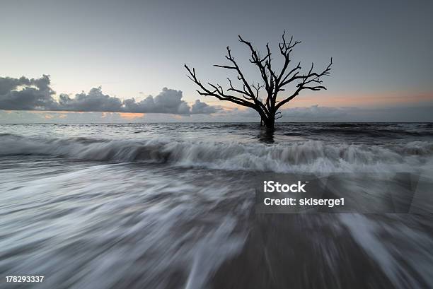 Zatoka Botaniczna Tidal Rush - zdjęcia stockowe i więcej obrazów Charleston - Stan Karolina Południowa - Charleston - Stan Karolina Południowa, Morze, Stan Karolina Południowa