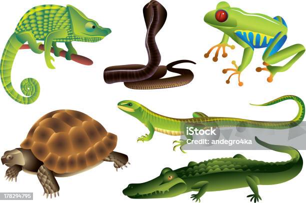 Ensemble De Reptiles Et Damphibiens Vecteurs libres de droits et plus d'images vectorielles de Reptile - Reptile, Rainette arboricole, Iguane