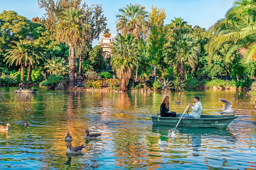 Barcelona, Spain - November 26, 2021: Couples ride on wooden boats with oars on the lake in the Ciutadella Park in Barcelona on a sunny autumn day. People and wild birds relax among the urban oasis