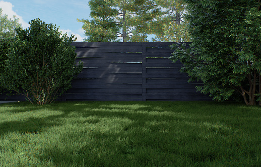 Green lawn against a background of a gray fence and trees. Mockup for advertising garden products. Empty garden. 3d rendering