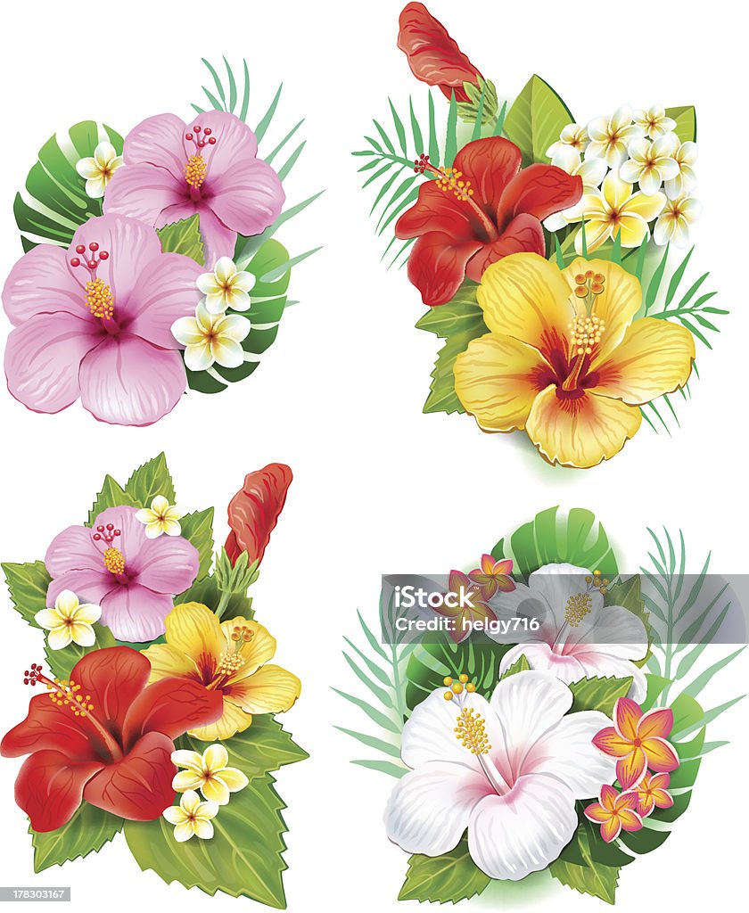 Arreglo de flores de hibiscos - arte vectorial de Flor libre de derechos