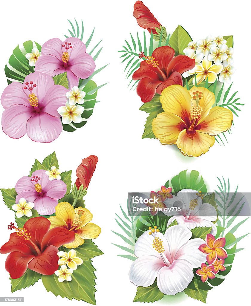 Arrangement de fleurs d'hibiscus - clipart vectoriel de Fleur - Flore libre de droits