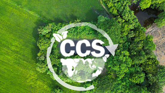 CCS,Carbon Capture Storage with forest background Net Zero Operations Concept Save energy green energy Reduce carbon dioxide emissions carbon capture world environment day