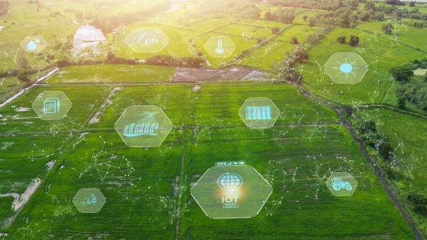 istock Smart Farm IOT, intelligent agricultural innovation farmer using augmented reality mixed virtual reality, artificial intelligence integration, industry 4.0 technology 1783046566