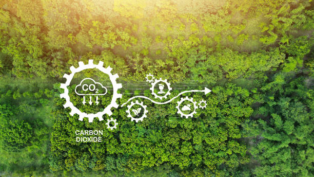 istock CO2 icon in green forest with sunlight Reducing carbon dioxide emissions carbon neutral concept Net zero greenhouse gas emissions target Developing a sustainable CO2 concept 1783046567
