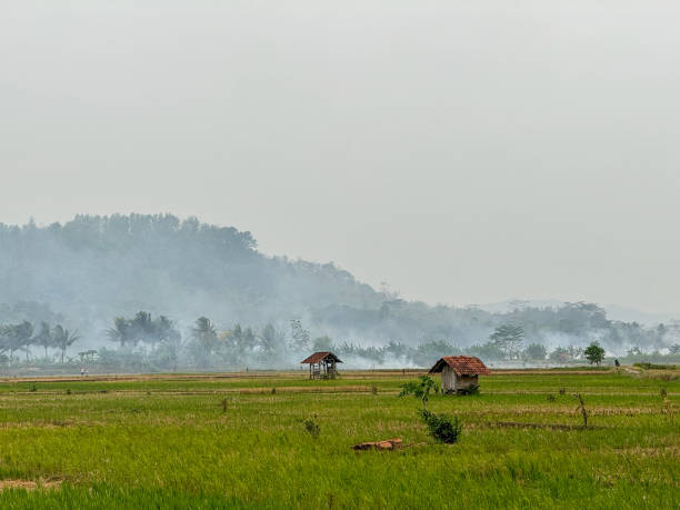 istock views of mountain rice fields and fog during the day 1783067699