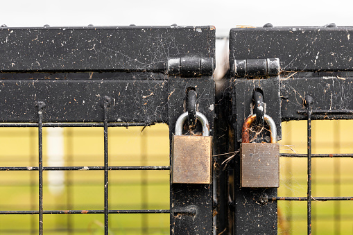 Aged padlocks maintain the security of an outdoor gate, showcasing their enduring functionality.