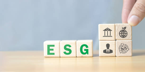 istock ESG Concepts in Environment, Society and Governance Sustainable organizational development according to the goal Copy space 1783079107