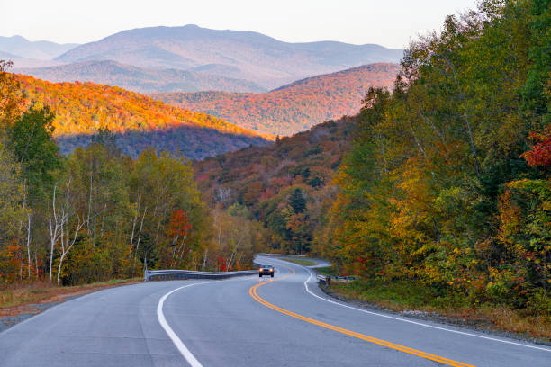 istock winding road in autumn mountain forest under sunlight 1783132794