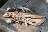 Three grilled Oriental garden lizard placed on a wooden table, traditional food, wild food of the countryside in Thailand.