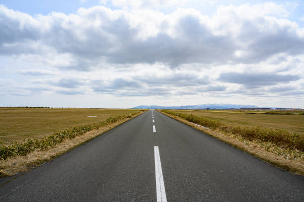 istock Straight road in Hokkaido 1783173039