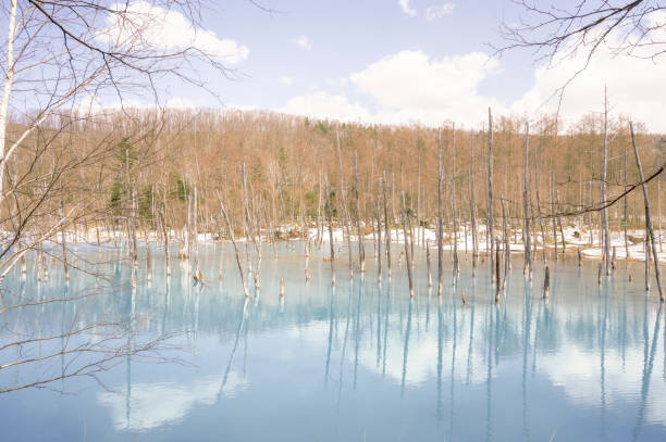 istock Aoi Pond, Hokkaido 1783174112