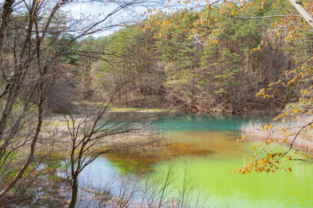 istock Midoronuma