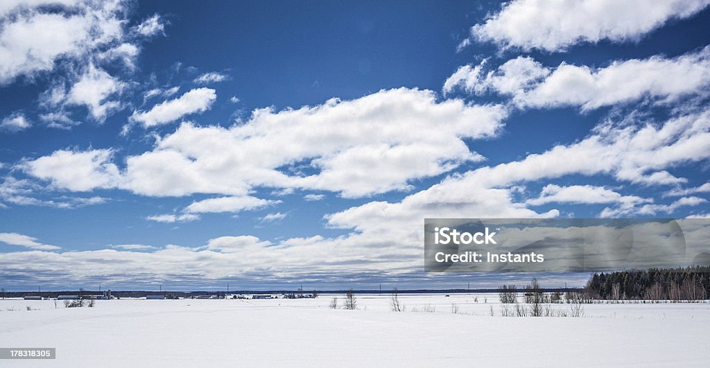 Scenario invernale - Foto stock royalty-free di Albero