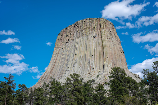 Devils Tower in Devils Tower National Monument, Wyoming, USA. The monolith is an igneous intrusion with columnar (hexagonal) jointing of the granite rising through the surrounding sedimentary rock.