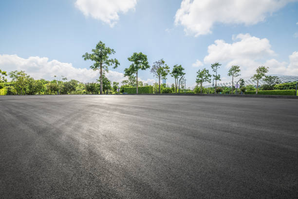 Clean asphalt road and woods background