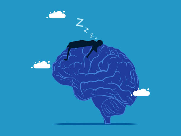 istock The brain is ineffective. Businesswoman sleeping on brain. Vector 1783229351