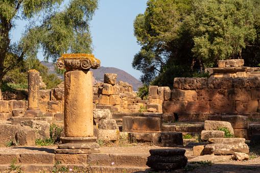 Ruins of the Roman Archeological Park of Tipaza ( Tipasa ), Algeria.