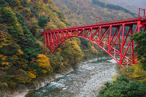 Shin yamabiko red bridges to travel in the train to Kurobe gorge during the Autumn Season, Toyama, Japan.