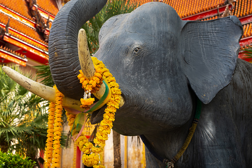 Statue of elephant in Buddhist Temple in Thailand