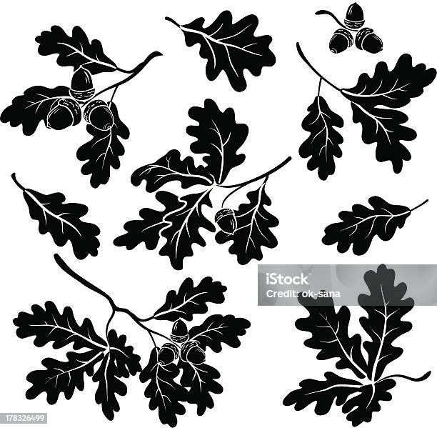 오크 지사 Acorns 실루엣 잎에 대한 스톡 벡터 아트 및 기타 이미지 - 잎, 도토리, 실루엣