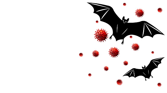 Bat infectious disease isolated. Nipah bat virus. Nipah virus concept, Nipah henipavirus, Hendra virus, incephalitis. Lung and brain disease, covid 19.