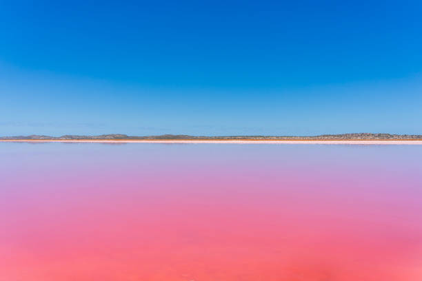 istock Hutt Lagoon - Pink Lake in Port Gregory 1783299444