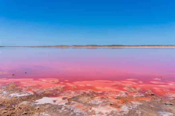 istock Hutt Lagoon - Pink Lake in Port Gregory 1783301676