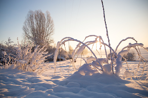 winter landscape by a lake in Swedish nature - the lake is called Drevviken and is located in Tyresö municipality near the city of Stockholm