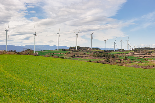 wind turbines farm field on a cloudy day