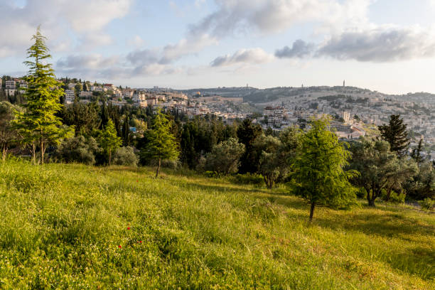 Skyline view of the Old City of Jerusalem looking north A breathtaking view of the ancient, Old City of Jerusalem, its walls, houses, synagogues and mosques and the Temple Mount, looking north from the Armon HaNatziv promenade. al aksa stock pictures, royalty-free photos & images