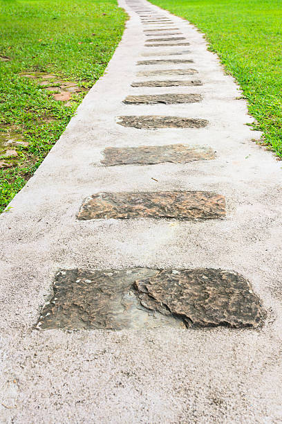 pasadera camino en un hermoso jardín verde - single lane road footpath flower formal garden fotografías e imágenes de stock