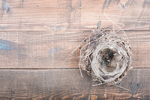 top view of empty bird nest on wooden background