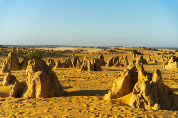 istock The Pinnacles desert in WA. 1783353917
