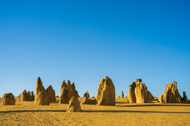 istock The Pinnacles desert in WA. 1783358838