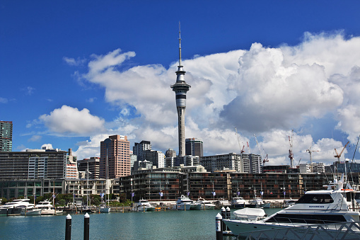 Auckland, New Zealand - 15 Dec 2018: The Sky tower in Auckland city, New Zealand