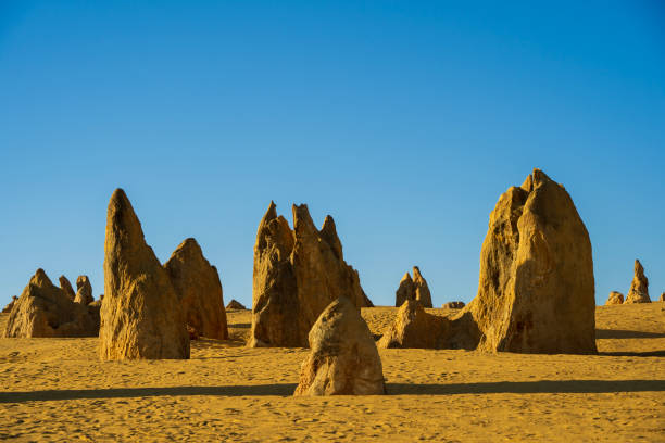 istock The Pinnacles desert in WA. 1783365981