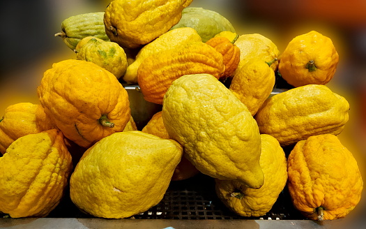 The etrog (Hebrew אֶתְרוֹג Etrōg, German 'Ethrog', Yiddish Essreg) are different varieties of citron used by Jews during the Feast of Tabernacles or Sukkot. The etrog is part of the festive bouquet prescribed in Leviticus, which is made up of a palm branch (lulav), myrtle branch (hadassim), willow (aravot) and apple of paradise (etrog). The latter is literally referred to as the 