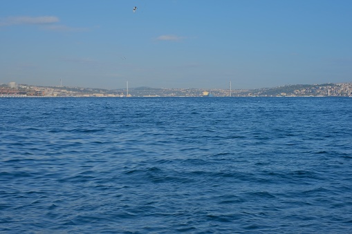 The Maiden's Tower and Bosphorus bridge