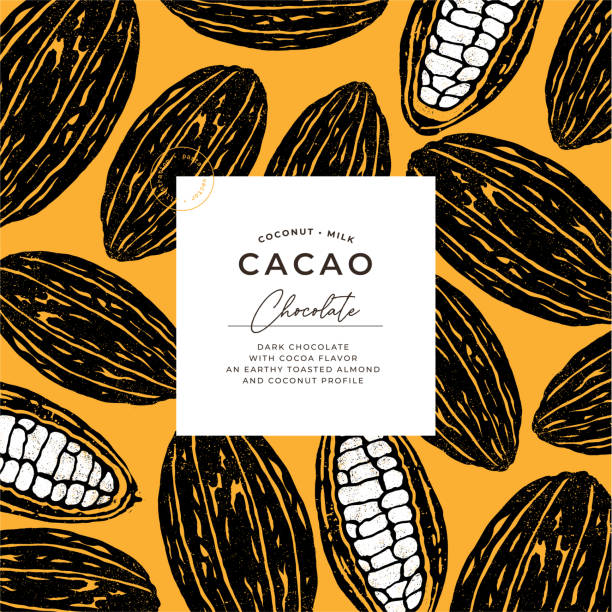 Chocolate bean design template. Abstract cacao bean illustration.
