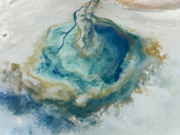 Natural shapes and textures on lake