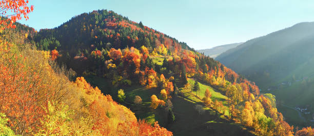 istock Forest Landscape with colored Trees in Autumn - Panorama 1783430822
