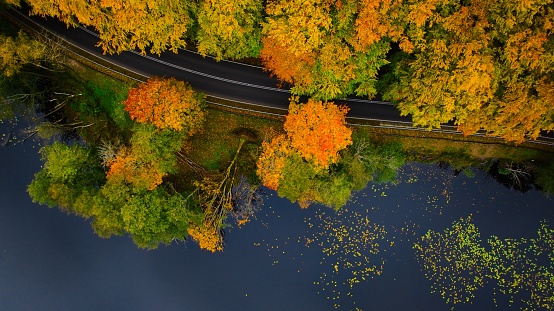 An exquisite autumn scene in the heart of Poczynska Switzerland, Poland, captured from a drone's vantage point. A winding road meanders along the edge of a tranquil lake, reflecting the azure sky above.